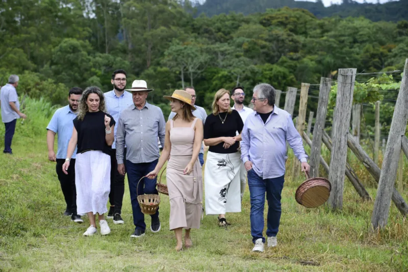 Vindima Goethe 2025: Colheita simbólica dá início à celebração de um produto único