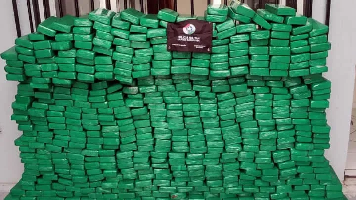 Em 2024, mais de 7,6 toneladas de maconha foram apreendidas nas rodovias estaduais de SC