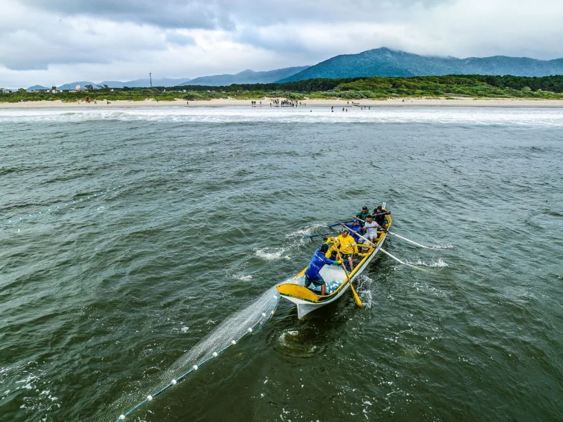 Secretaria da Aquicultura e Pesca de SC orienta pescadores sobre inscrição para a safra da tainha 2025