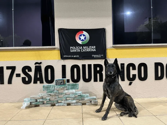 Mais de 30 kg de crack são apreendidos durante fiscalização na SC-157