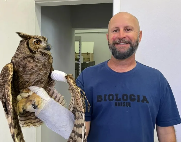 TUBARÃO: Uma das maiores corujas da América é reintegrada ao habitat após resgate