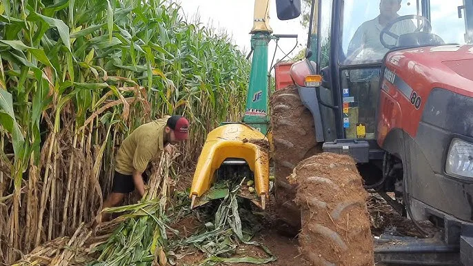 Meleiro inicia inscrições para o Programa “Terra Boa” de correção do solo com calcário