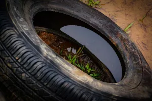 Inscrições para Campanha de Recolhimento de Pneus Inservíveis terminam dia 10 de março