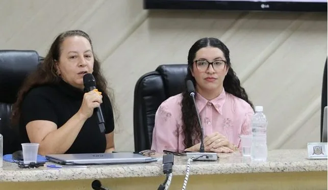 Câmara recebe apresentação da Afasc sobre inclusão de crianças com deficiência na educação infantil