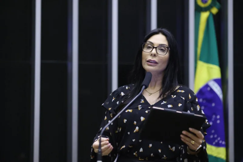 Colo vazio, dor respeitada: projeto de lei quer humanizar o luto materno