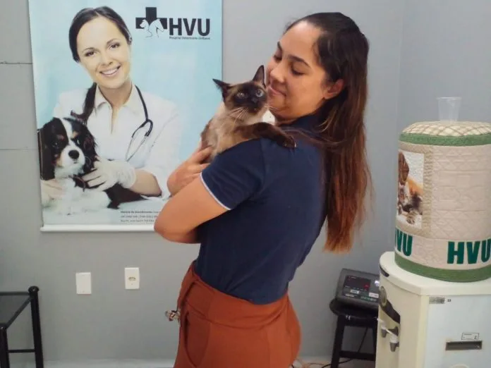 Orleans inicia mutirão gratuito de castração de cães e gatos