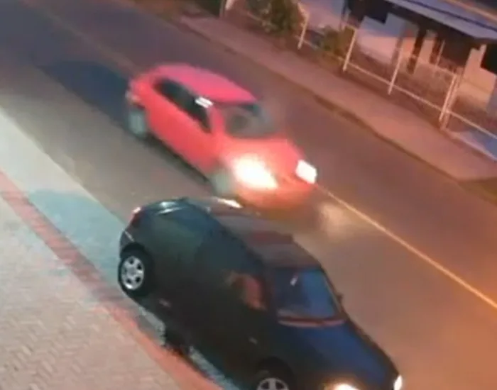 Motorista abandona cão e em seguida o atropela em Araranguá