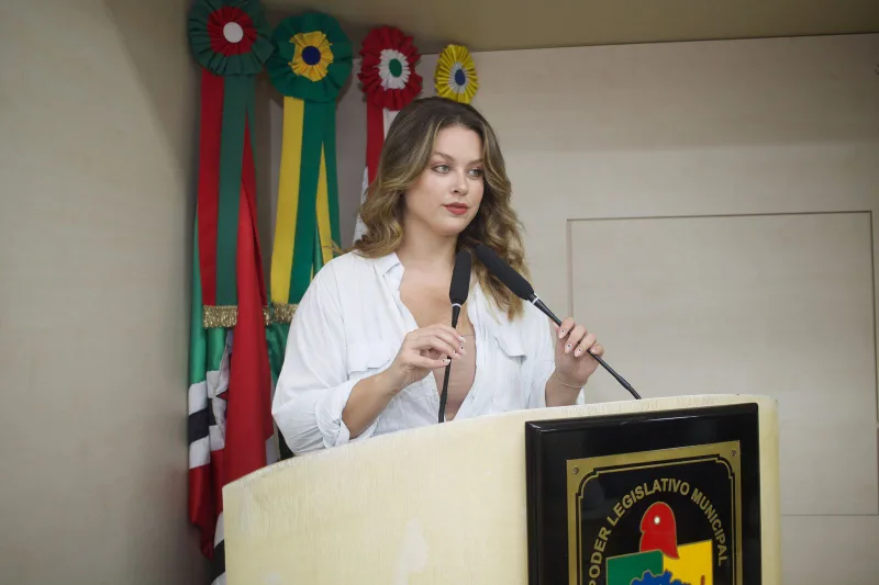 Câmara de Criciúma promove audiência para discutir saúde mental e violência nas escolas