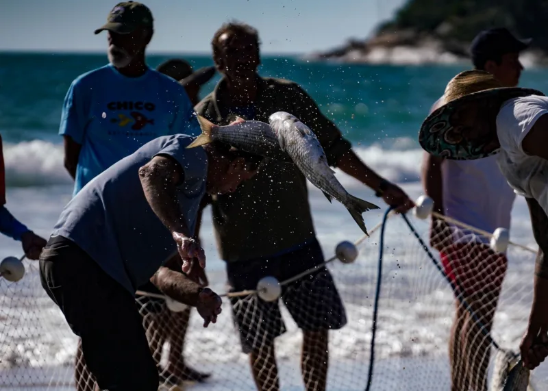 Estado contesta fundamentos da portaria federal que impõe cotas para a pesca da tainha em SC