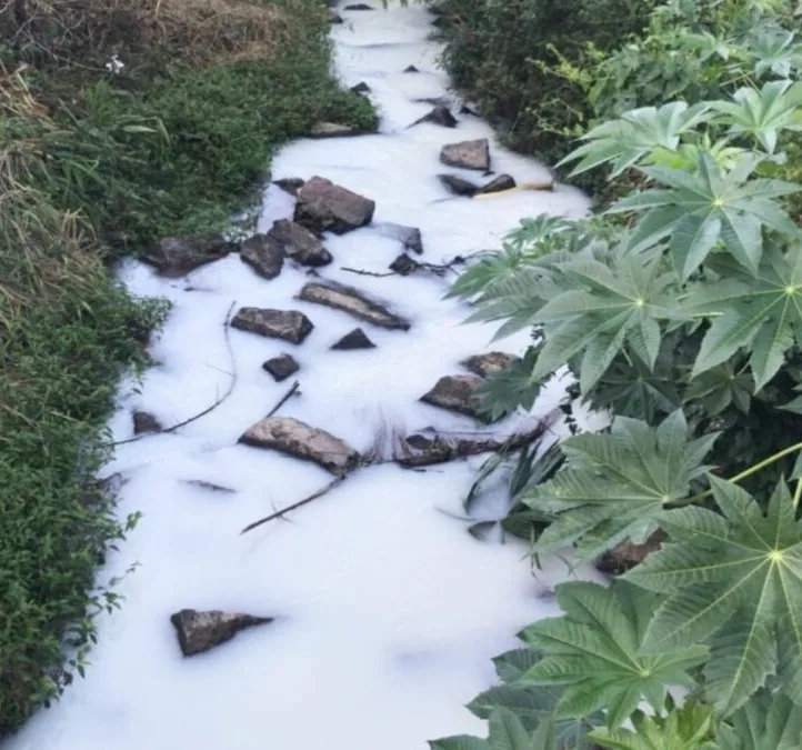 Moradores registram formação de espuma no Rio Linha Torrens, em Morro da Fumaça