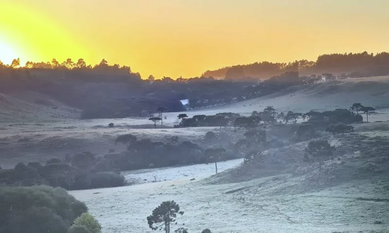 Serra Catarinense amanheceu com geada e temperaturas baixas e negativas