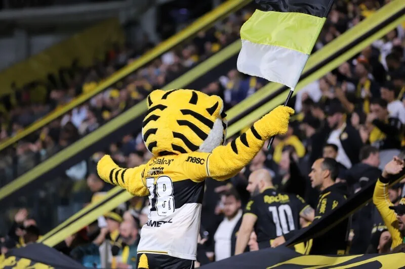 Sexta-feira de clássico: Criciúma encara o Avaí no Majestoso