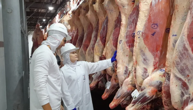Dia Mundial das Zoonoses: cuidar da saúde animal é cuidar da saúde humana