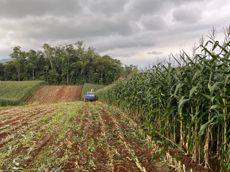 Conferência Desenvolvimento Rural será realizada nesta sexta-feira em Urussanga