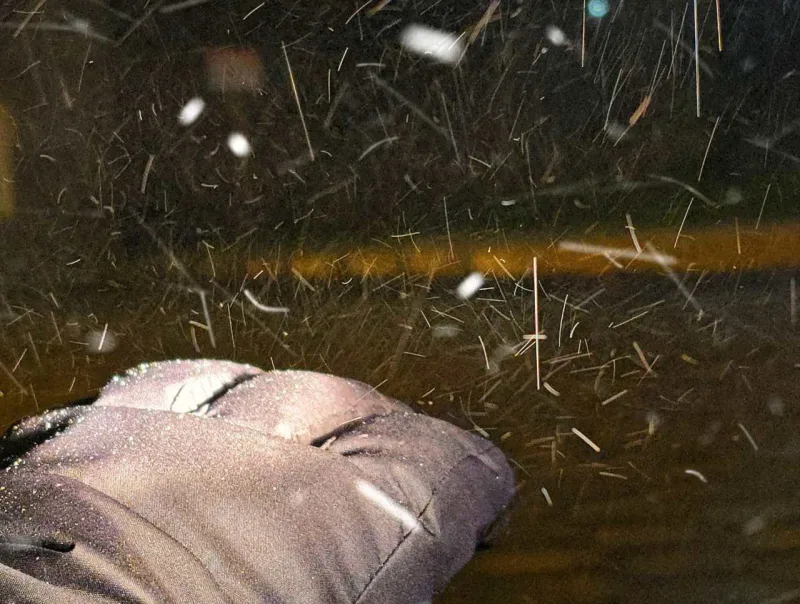 São Joaquim registra a primeira neve de agosto