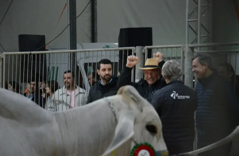 Qualidade do gado catarinense impressiona técnico da ABCZ na Feira Agroponte