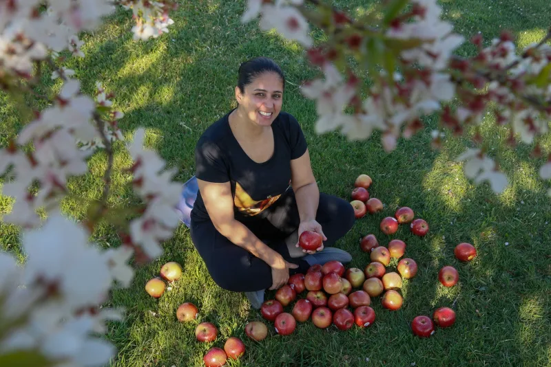 Novas tecnologias e linha de crédito beneficiarão produtores de maçã na Serra