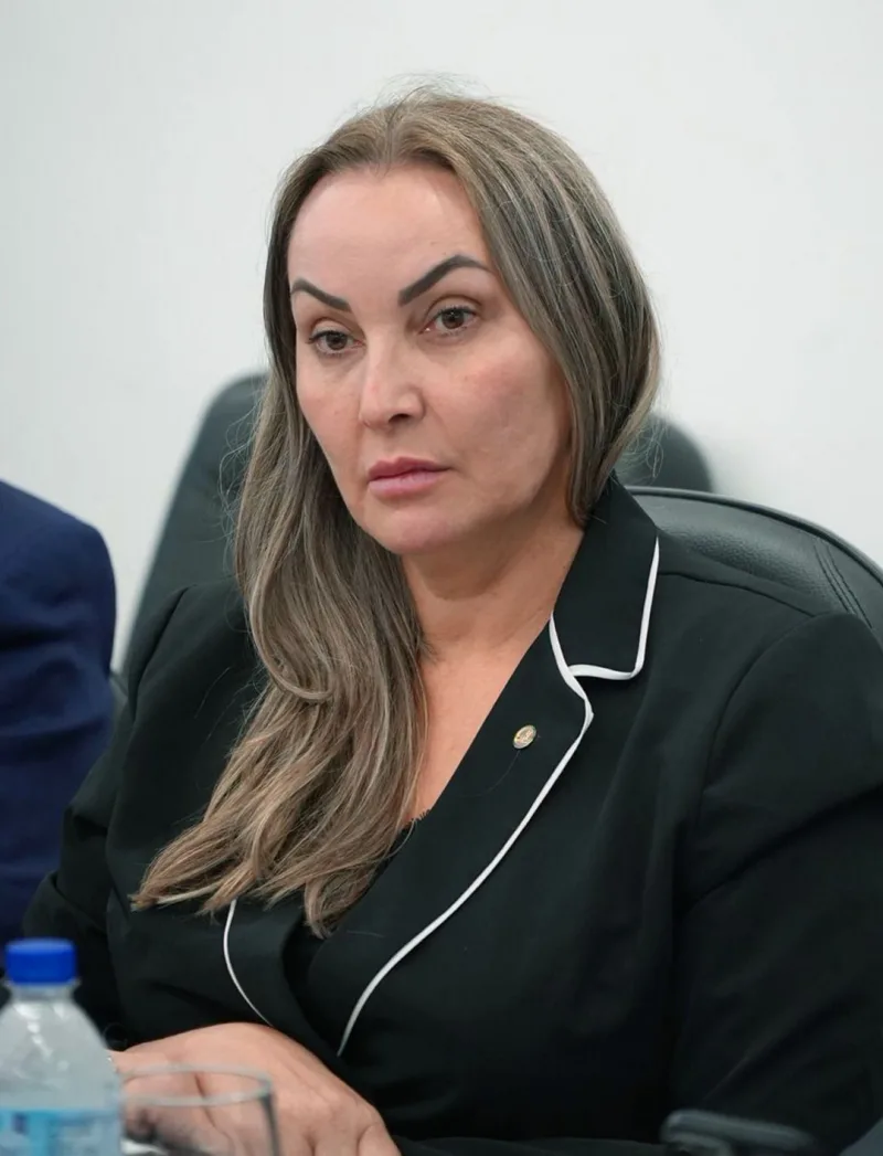 Deputada Daniela atua pela ampliação do crédito rural e defende liberação de até R$ 30 bilhões ao setor