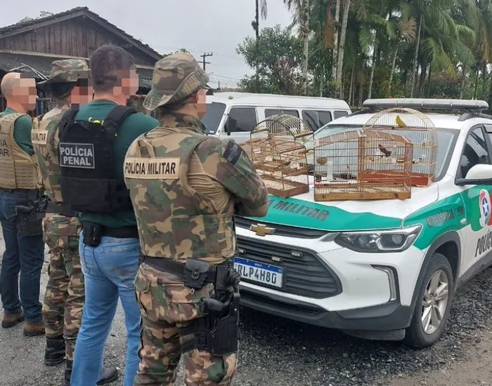 Operação do Gaeco cumpre mandados na região contra tráfico de animais