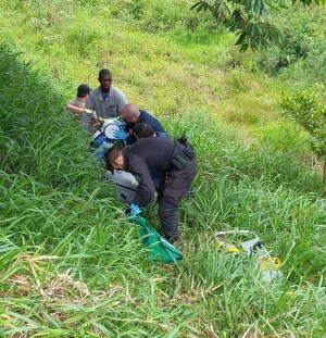 Homem morre após ser picado por inseto em Treviso