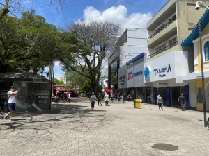 Natal 2025: Criciúma Lidera Intenção de Compra em Santa Catarina