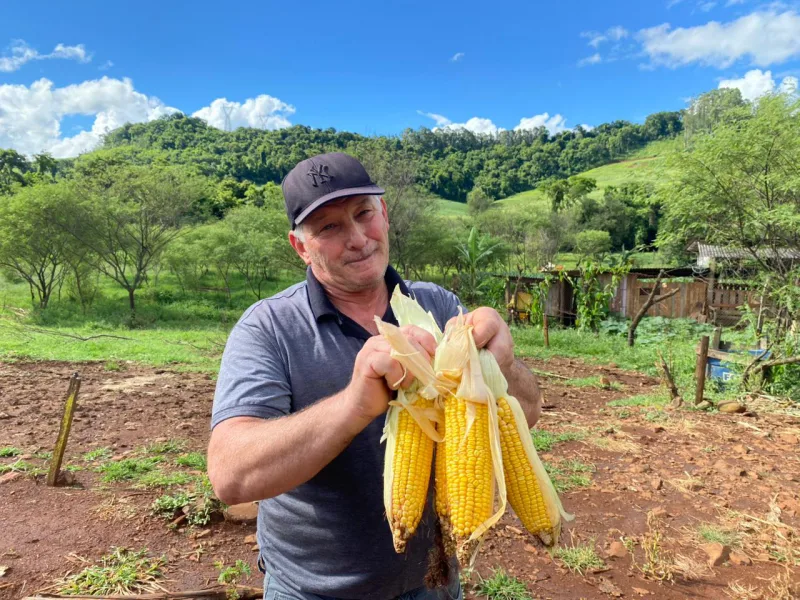 Santa Catarina tem 103 municípios habilitados ao novo edital do Programa de Aquisição de Alimentos