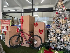 Natal da Energia: segunda-feira tem live, sorteio de prêmios, música e muita alegria na Coopercocal
