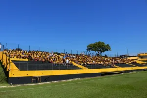 Projeto Tigrinhos encerra a temporada 2025 com torneio no CT Antenor Angeloni