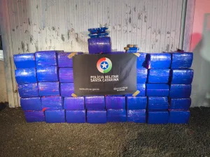 Quase uma tonelada de maconha é apreendida em residência, em Araranguá