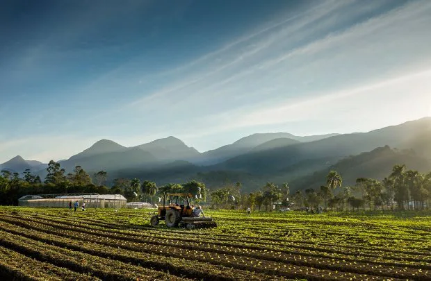 Agricultores de Orleans: prazo do Agro 360 termina em 31 de março