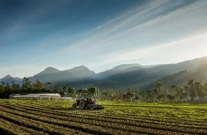 Agricultores de Orleans: prazo do Agro 360 termina em 31 de março