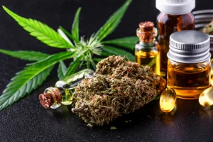 Anvisa amplia uso de terapias à base de cannabis e autoriza cultivo no Brasil