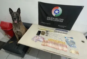 ARARANGUÁ: Cão do K9 encontra drogas escondidas em mercearia