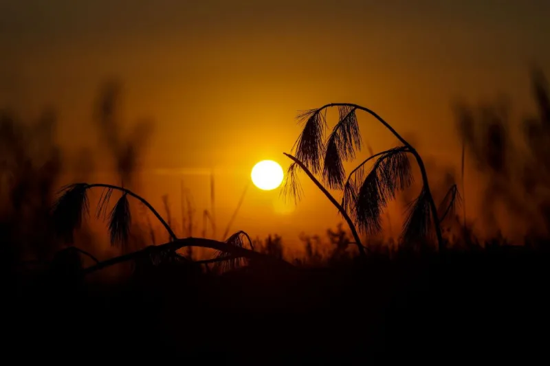 Feriado de Páscoa será de sol e temperaturas próximas dos 30°C