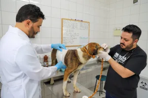 Feriado de Tiradentes: segunda-feira com atendimento normal e alterações nos serviços municipais de Criciúma nesta terça