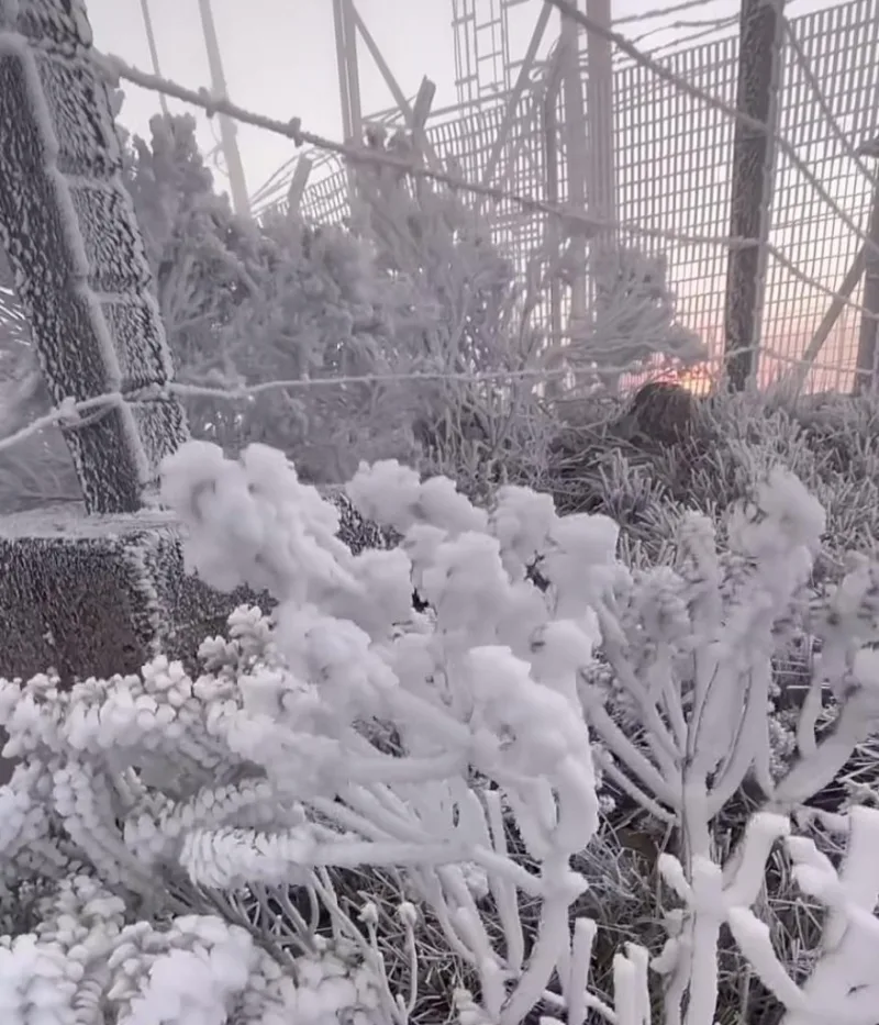 Santa Catarina registra primeiros flocos de neve de 2026