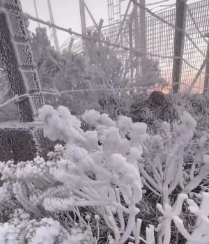 Santa Catarina registra primeiros flocos de neve de 2026