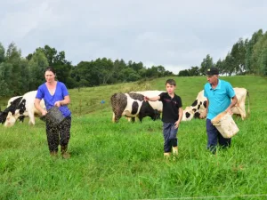 Governo do Estado vai mensurar pela primeira vez o PIB do agronegócio catarinense