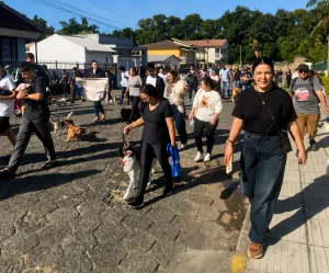 Sábado Especial garante seis adoções, distribui 300 mudas e reúne cerca de 60 cães em Cocal do Sul