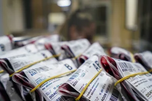 Dia Mundial do Doador de Sangue reforça importância do gesto que pode salvar vidas