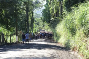 Prefeitura de Criciúma assinará Ordem de Serviço para pavimentação da rua Martinho Brunell