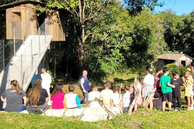 Crianças do Novos Caminhos aproveitam Mata Atlântica em passeio pelo sul de SC