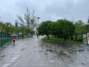 Quinta-feira terá chuva fraca, vento sul e temperaturas baixas no Sul catarinense