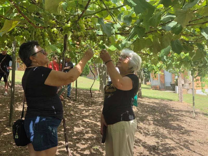 Vinho Goethe será destaque na 15ª AgroPonte