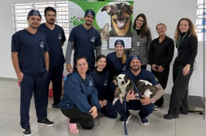 Cocal do Sul se aproxima de 200 cães e gatos castrados gratuitamente