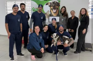 Cocal do Sul se aproxima de 200 cães e gatos castrados gratuitamente