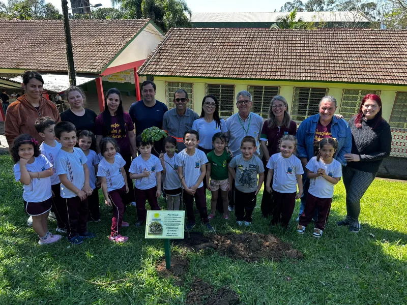 Coopercocal realiza plantio de pau-brasil em escolas e praça